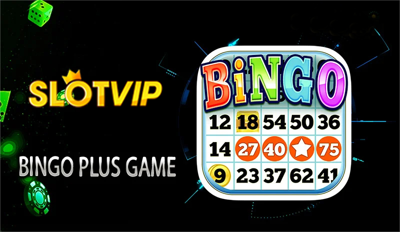 Bingo plus game